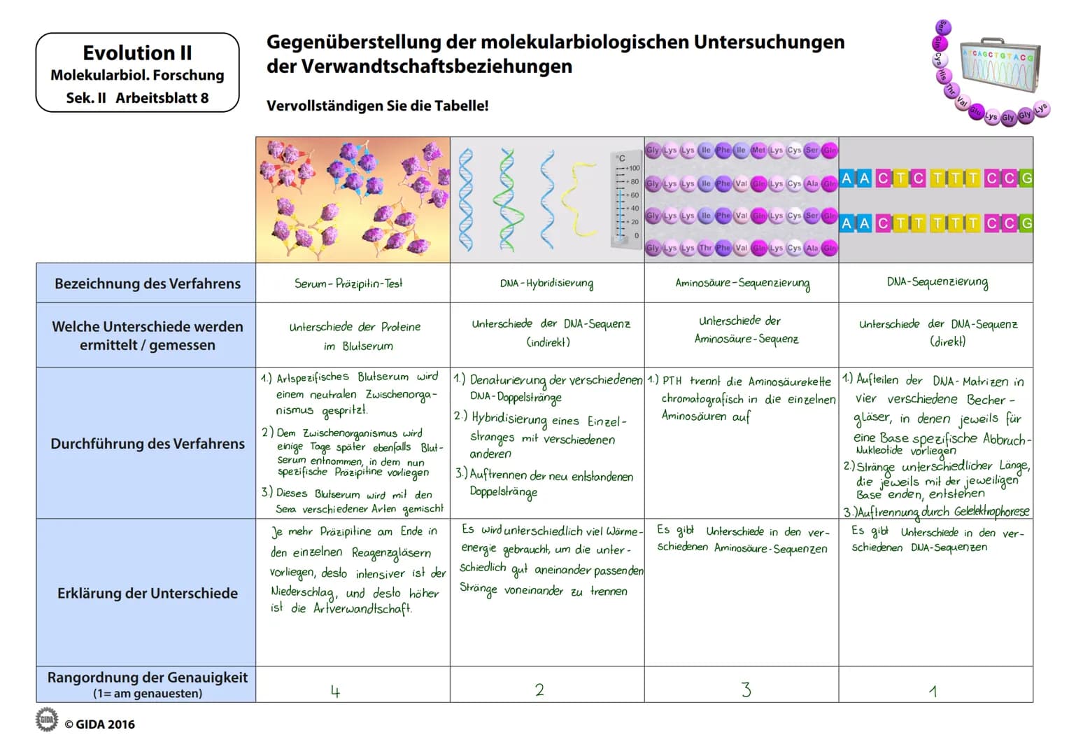 Evolution II
Molekularbiol. Forschung
Sek. II Arbeitsblatt 1
zu 1:
Kaninchen-
Serum
Nachdem dem Kaninchen Blutsevum entnommen
Intensität zu 