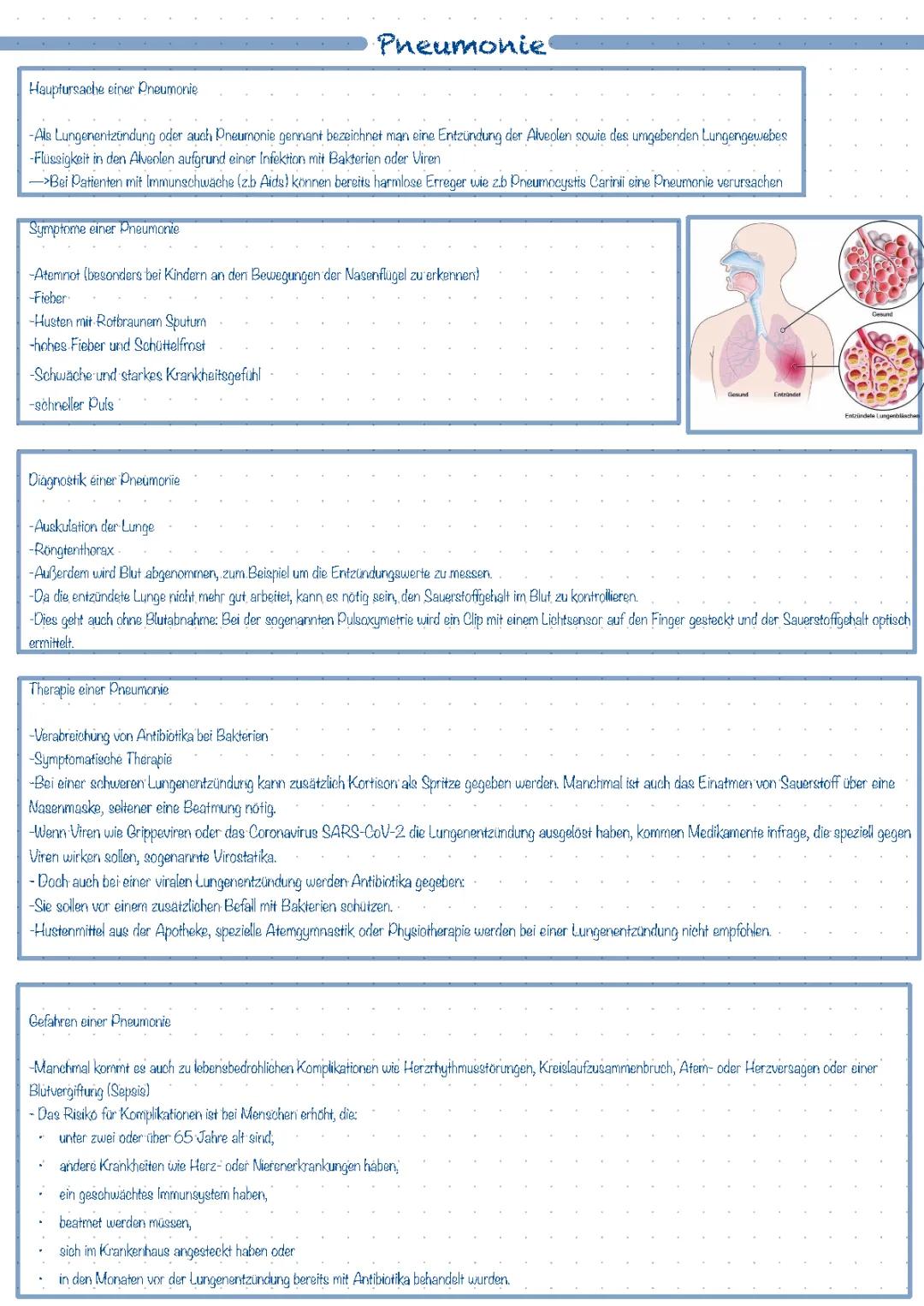 Erkrankungen des Atmungssystem 