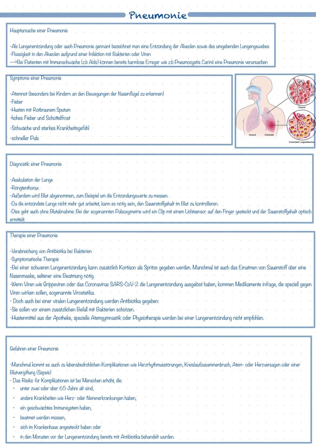 Hauptursache einer Pneumonie
-Als Lungenentzündung oder auch Pneumonie gennant bezeichnet man eine Entzündung der Alveolen sowie des umgeben