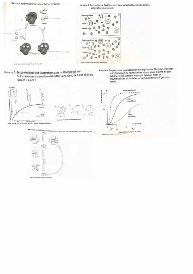 Know Enzyme - Klausur thumbnail