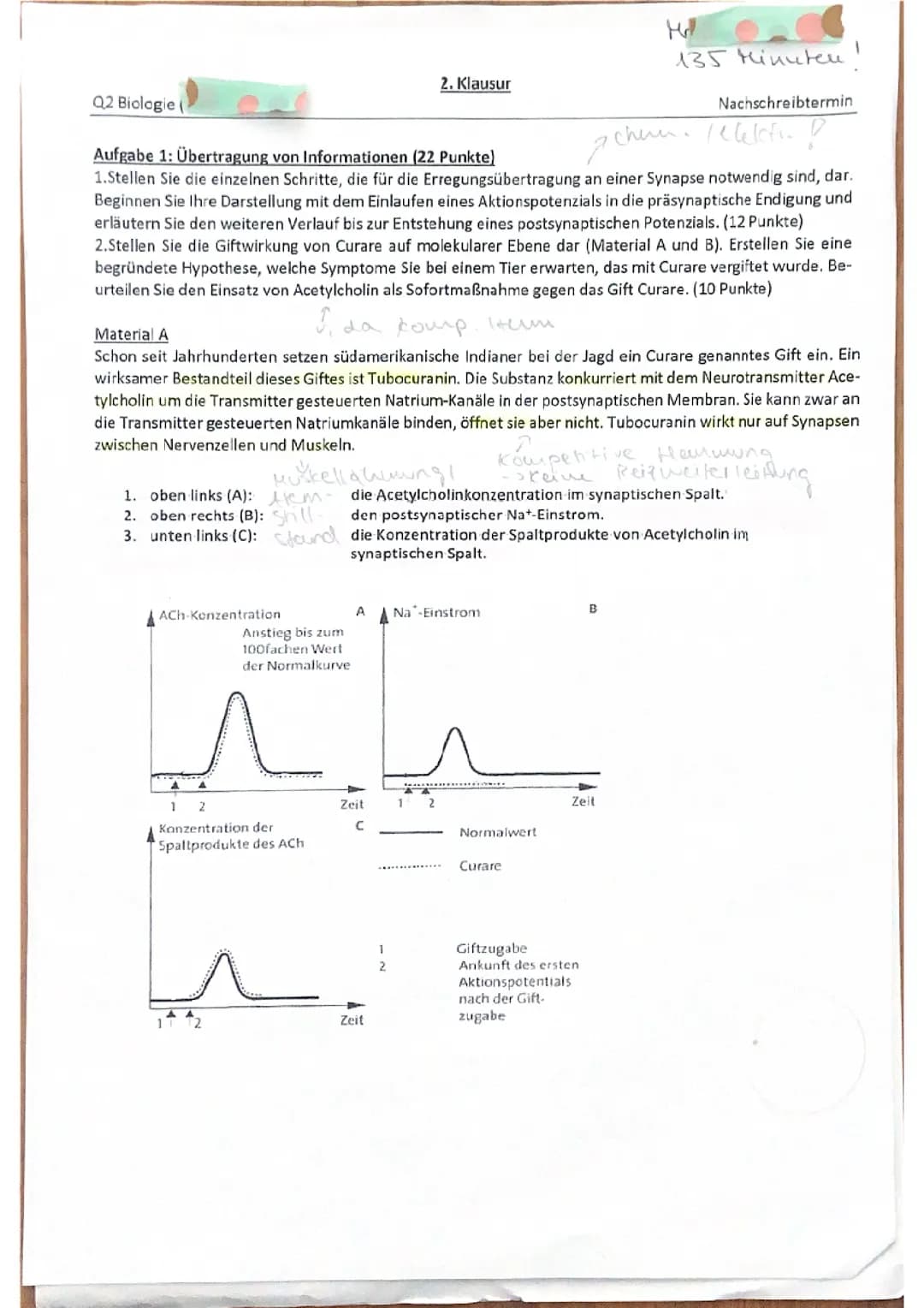 Neurobiologie Klausur Q2 GK