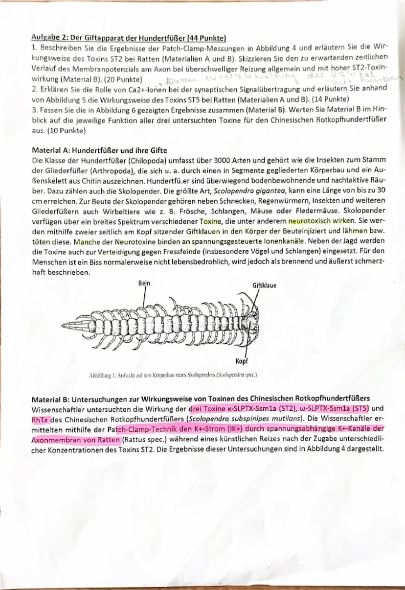 Q2 Biologie
2. Klausur
на
135 Minuten !
Nachschreibtermin
chun elek!
Aufgabe 1: Übertragung von Informationen (22 Punkte)
1.Stellen Sie die 