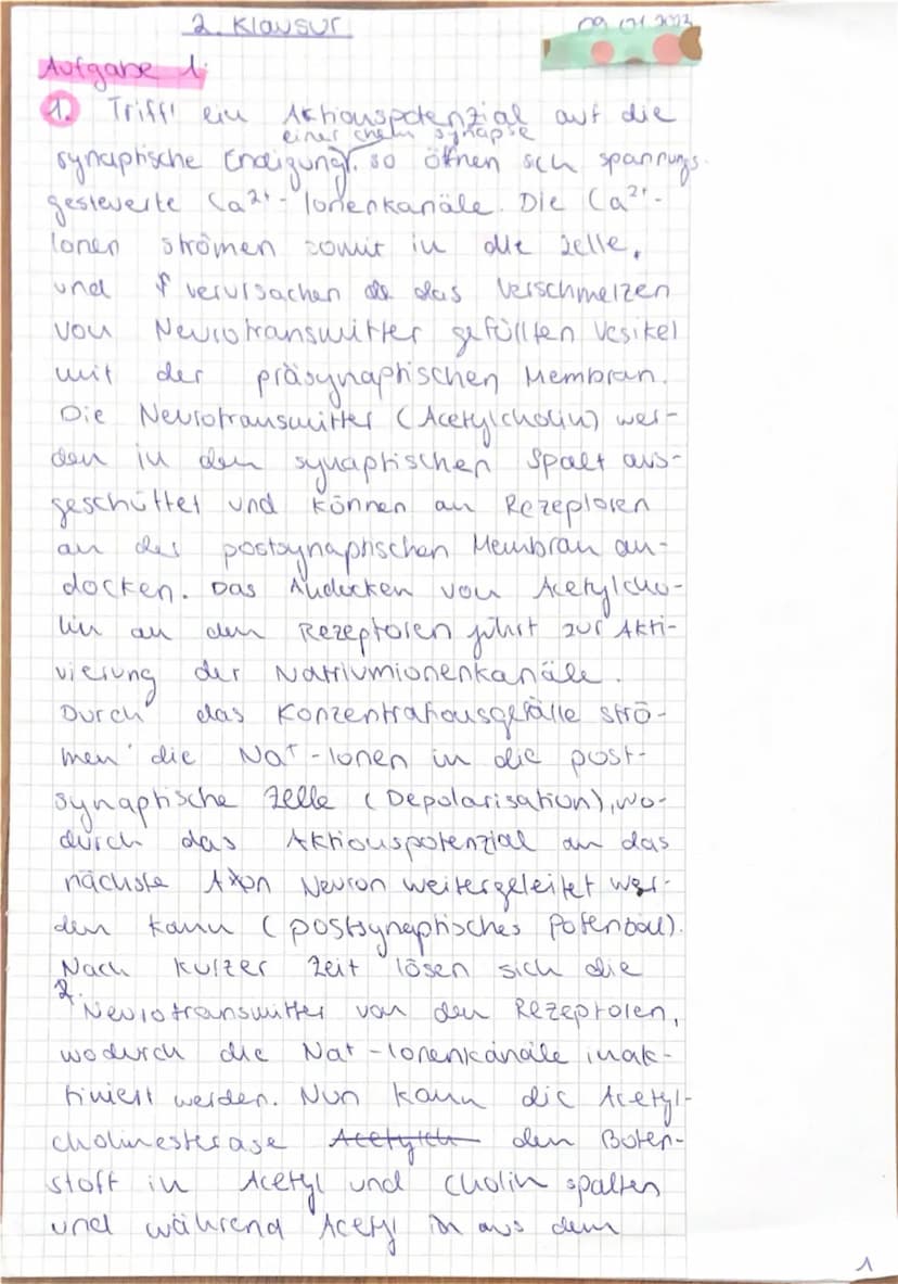 Q2 Biologie
2. Klausur
на
135 Minuten !
Nachschreibtermin
chun elek!
Aufgabe 1: Übertragung von Informationen (22 Punkte)
1.Stellen Sie die 