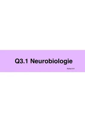 Know Neurobiologi Bio LK Lernzettel Hessen 2023 thumbnail