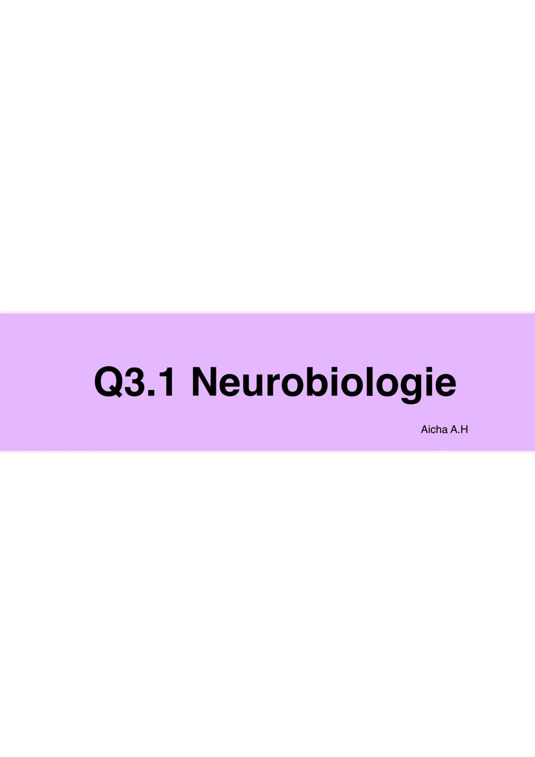 Q3.1 Neurobiologie
Aicha A.H DAS NEURON (NERVENZELLE)
Dentriten
Bau und Funktion der Nervenzelle
Soma
Zellkern
Schwann'sche Zelle
Muskel (-f