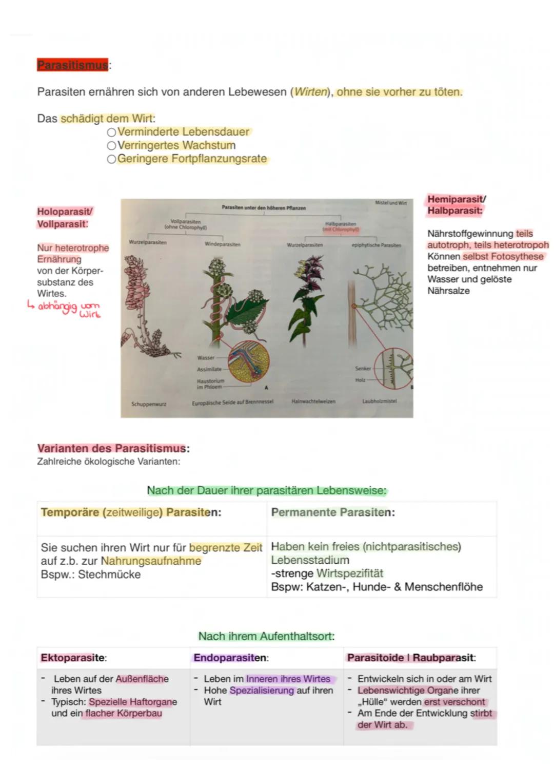 Parasitismus: Definition, Beispiele und Arten für Kinder