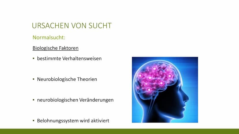 24
61
60
29
63
59 G
SPORTSUCHT
KRISTINA UND KATHRIN
10 GLIEDERUNG
▪ Was ist Sucht?
▪ Ursachen von Sucht
▪ Arten von Sportsucht
Symptome von 