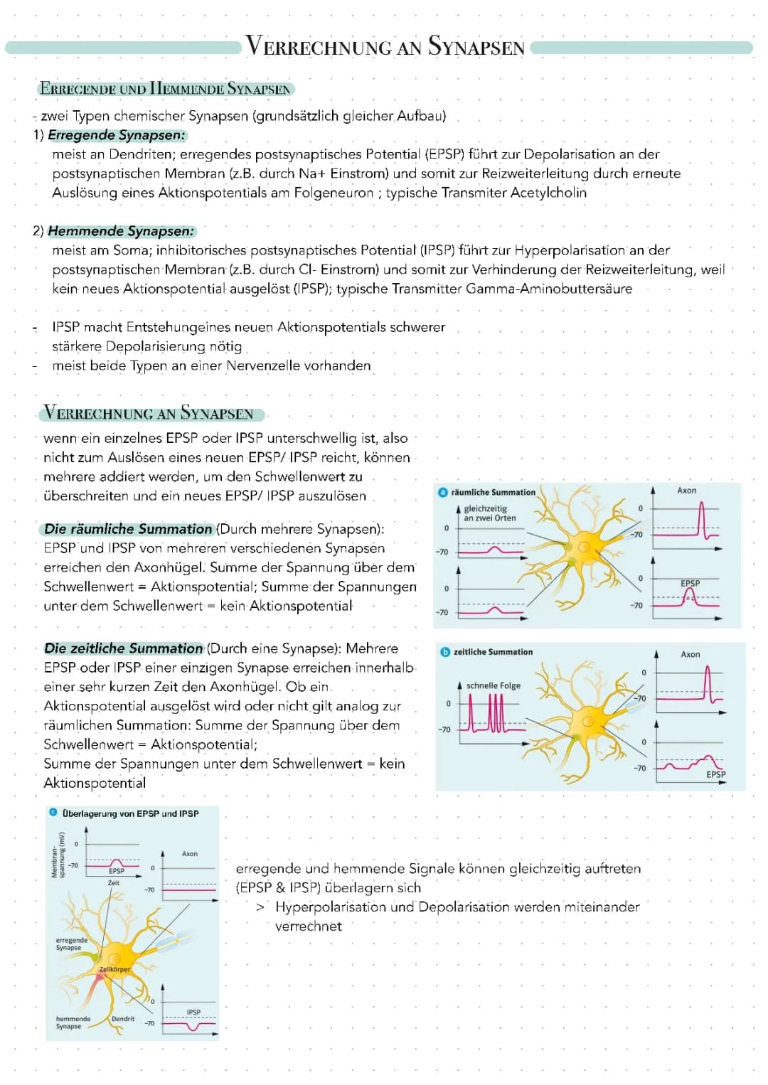 Verrechnung an Synapsen