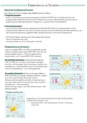 Know Verrechnung an Synapsen thumbnail