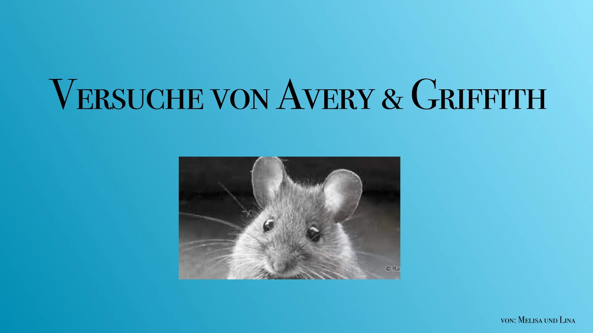 VERSUCHE VON AVERY & GRIFFITH
© Ra
VON: MELISA UND LINA INHALTSVERZEICHNIS:
Griffith & Avery
- Versuch von Griffith
· Auswertung
—
- Versuch