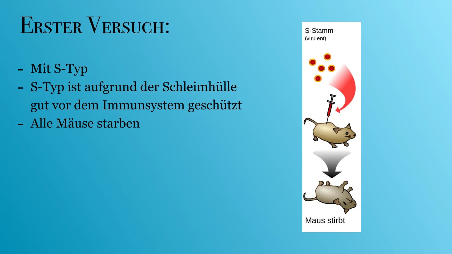 VERSUCHE VON AVERY & GRIFFITH
© Ra
VON: MELISA UND LINA INHALTSVERZEICHNIS:
Griffith & Avery
- Versuch von Griffith
· Auswertung
—
- Versuch