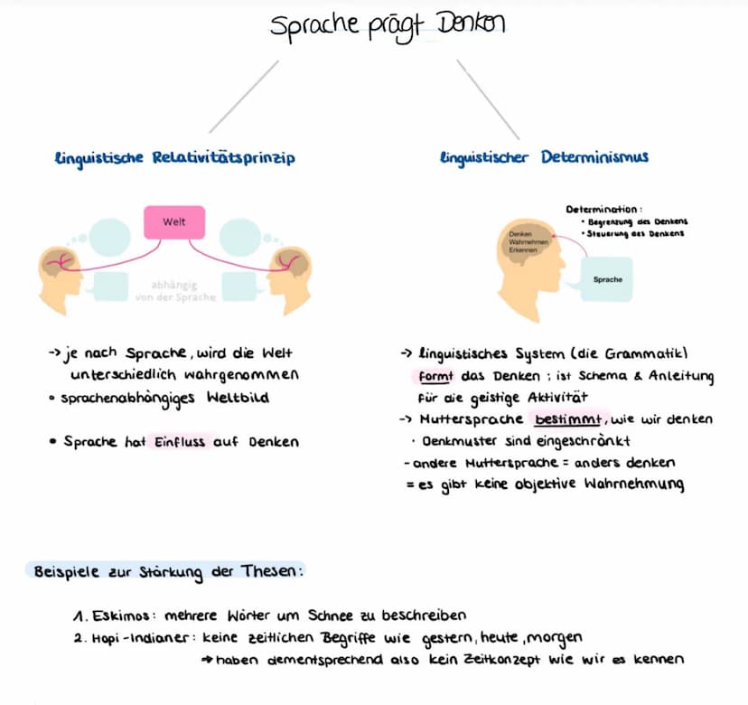 Relativismus - Theorien Sprache-Denken
Das Linguistische Relativitätsprinzip nach Benjamin C. Whorf →→Sapir-Whorf-These
•Sprache kann nur de