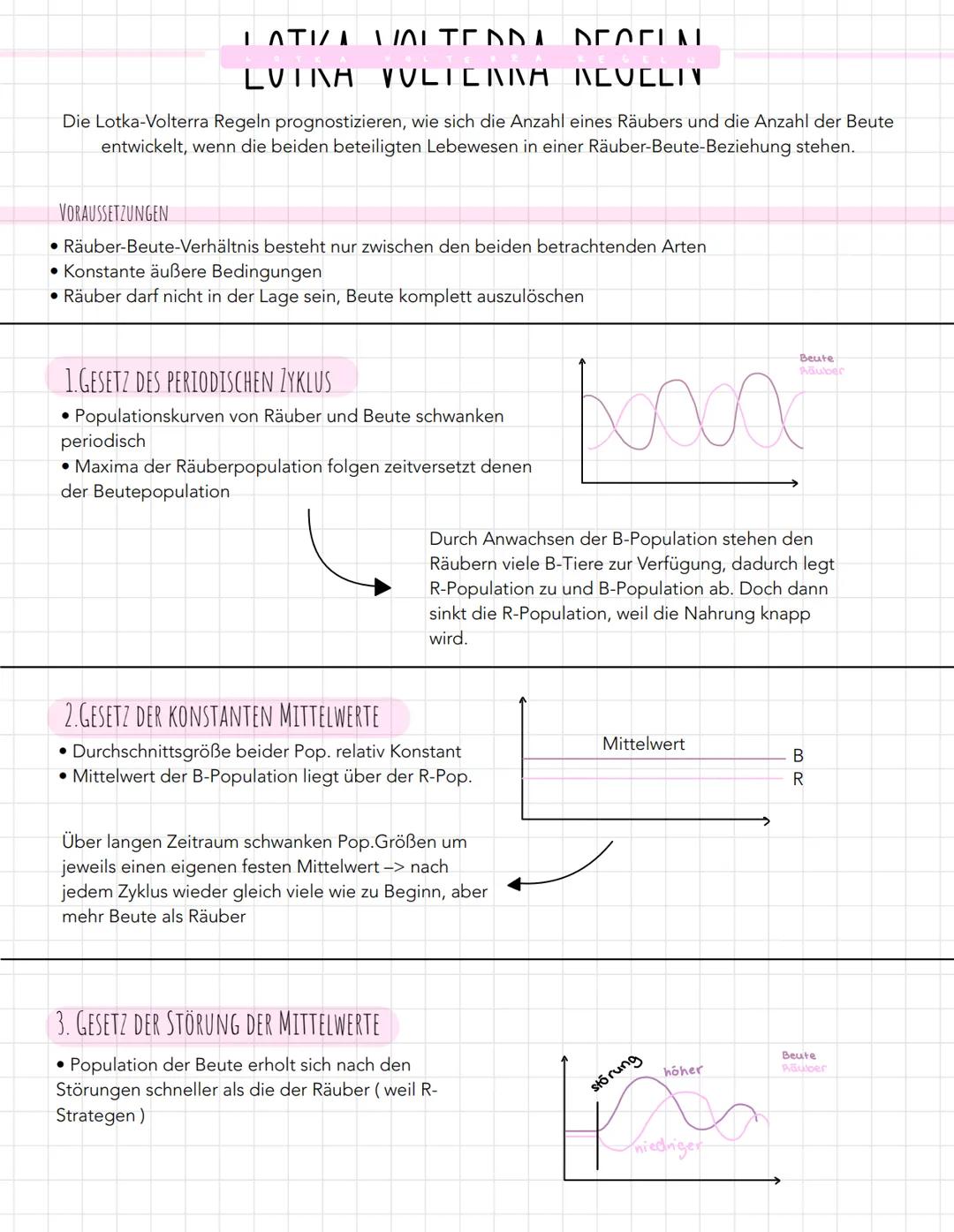 Lotka-Volterra-Regel 