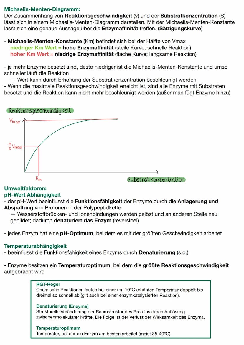Lernzettel - 2. Biologie Klausur
Proteine:
Strukturebenen
Primärstruktur: Abfolge der Aminosäuren/ Aminosäurekette, die Funktion des Protein