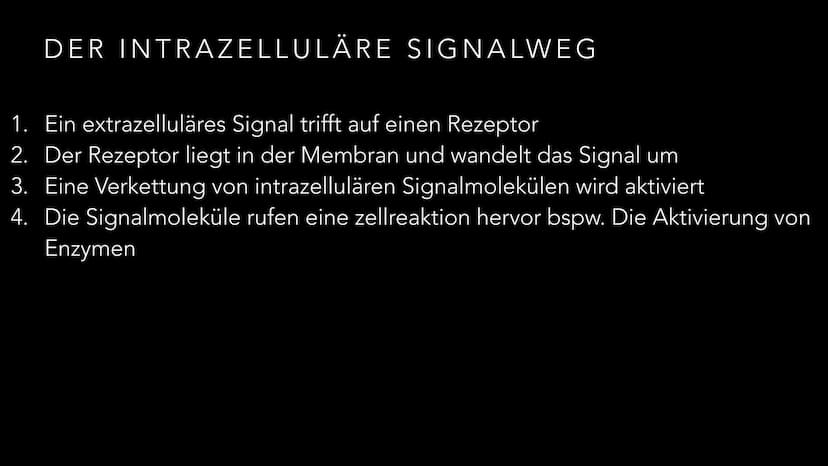 KURZVOTRAG
DIE SIGNALTRANSDUKTION
Biologie GK EF T. Krusche DIE ZELLKOMMUNIKATION
lebende Zellen nehmen Informationen aus ihrer Umwelt auf
A