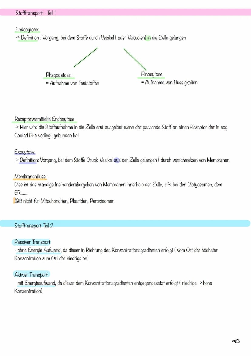 g
Tierzelle Elektronenmikroskop
Pflanzenzelle
1
Nucleus
Chloroplast
Golgi-
Apparat
2
Cytoplasma
invi
Zellsaftvakuole
CYTOLOGIE
3
11
4
Zellme