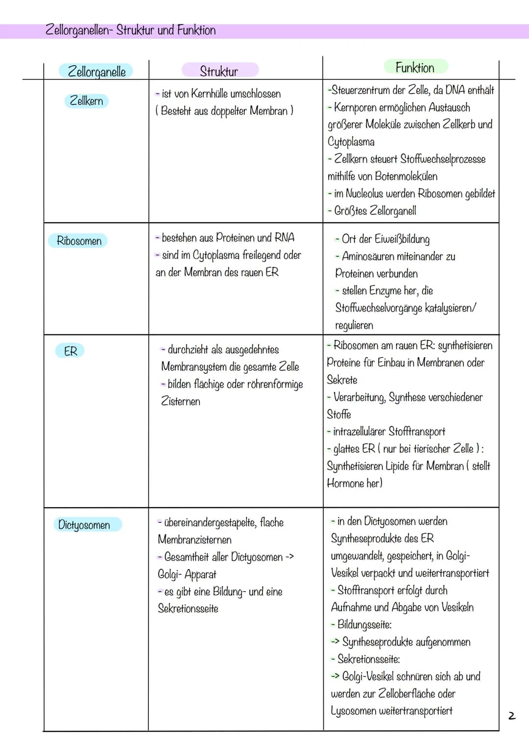 g
Tierzelle Elektronenmikroskop
Pflanzenzelle
1
Nucleus
Chloroplast
Golgi-
Apparat
2
Cytoplasma
invi
Zellsaftvakuole
CYTOLOGIE
3
11
4
Zellme