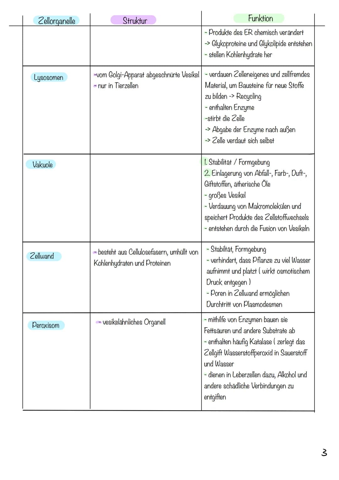 g
Tierzelle Elektronenmikroskop
Pflanzenzelle
1
Nucleus
Chloroplast
Golgi-
Apparat
2
Cytoplasma
invi
Zellsaftvakuole
CYTOLOGIE
3
11
4
Zellme