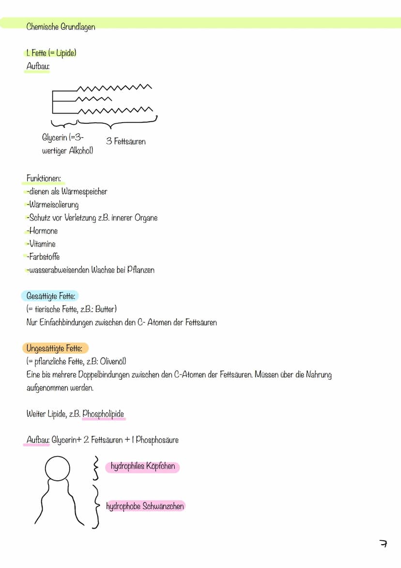 g
Tierzelle Elektronenmikroskop
Pflanzenzelle
1
Nucleus
Chloroplast
Golgi-
Apparat
2
Cytoplasma
invi
Zellsaftvakuole
CYTOLOGIE
3
11
4
Zellme