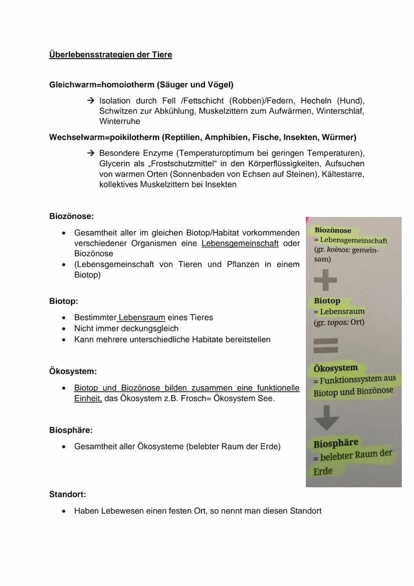 
<h2 id="einwirkungabiotischerundbiotischerumweltfaktorenauflebewesen">Einwirkung abiotischer und biotischer Umweltfaktoren auf Lebewesen</h