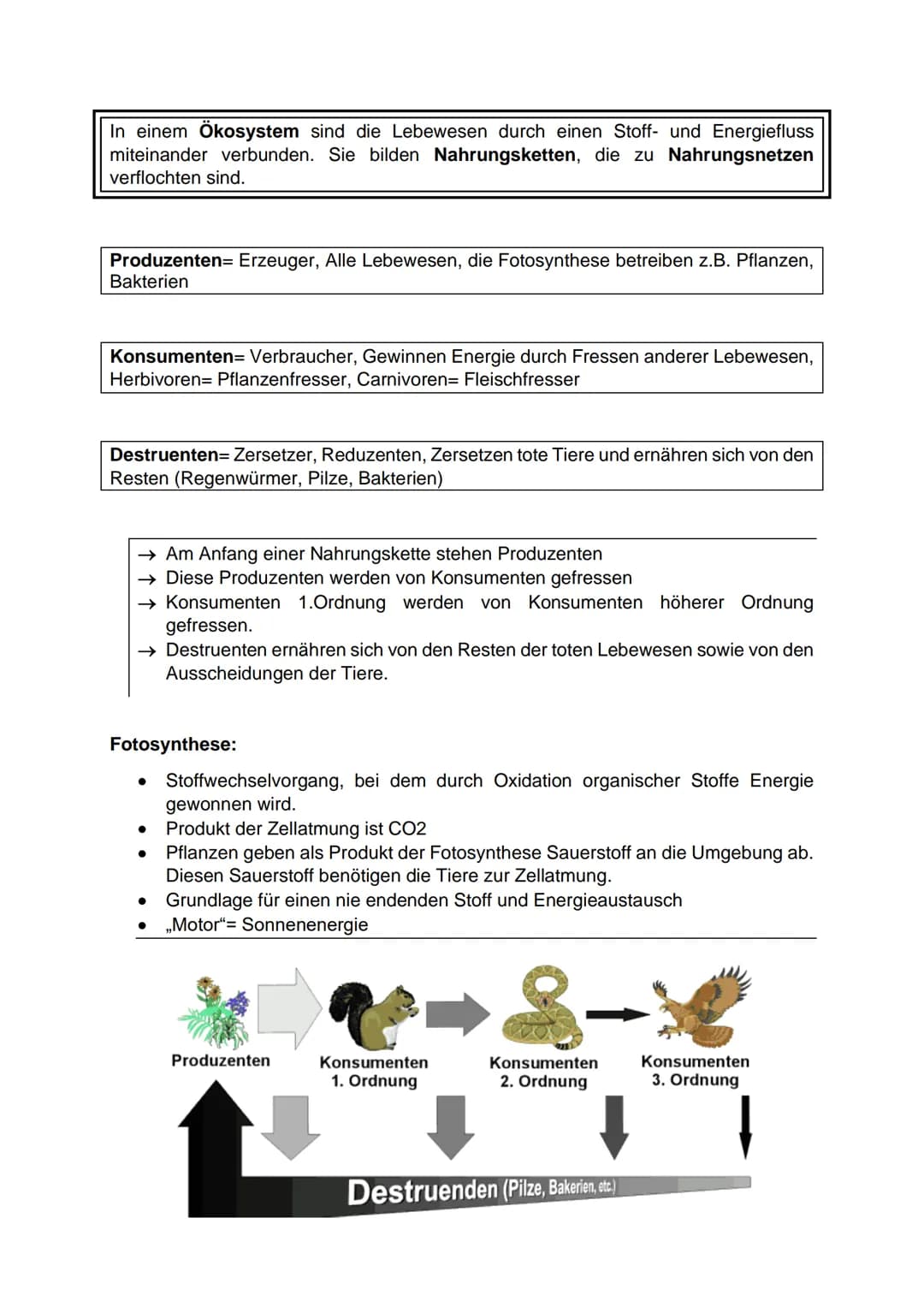 
<h2 id="einwirkungabiotischerundbiotischerumweltfaktorenauflebewesen">Einwirkung abiotischer und biotischer Umweltfaktoren auf Lebewesen</h