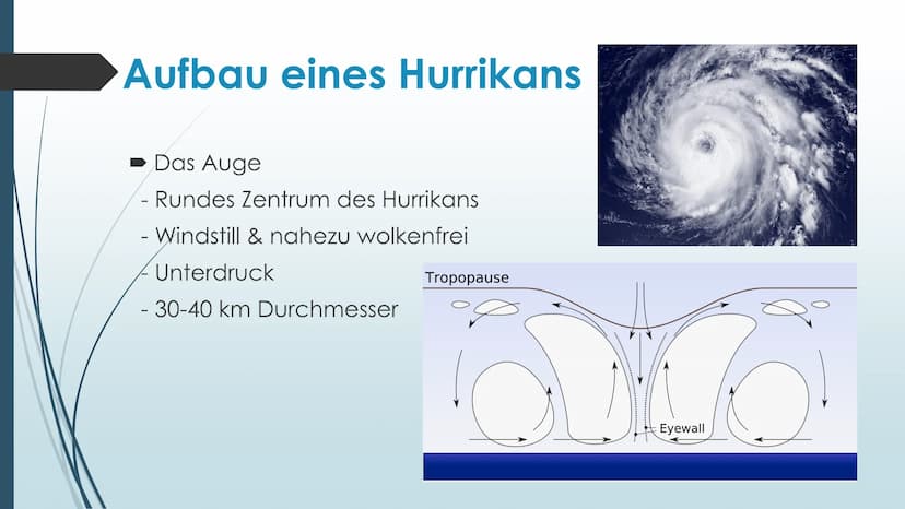 Hurrikins Hurrikans
Bildquelle:
https://www.google.com/url?sa=i&rct=j&q=&esrc=s&source=images&cd=&cad=rja&uact=8&ve
d=2ahUKEwjq2bj7m87eAhXEC