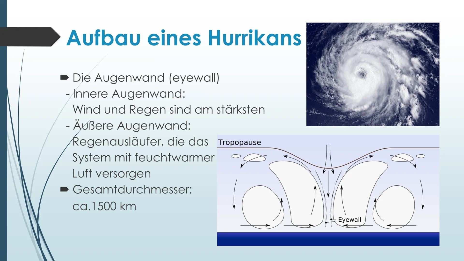 Hurrikins Hurrikans
Bildquelle:
https://www.google.com/url?sa=i&rct=j&q=&esrc=s&source=images&cd=&cad=rja&uact=8&ve
d=2ahUKEwjq2bj7m87eAhXEC