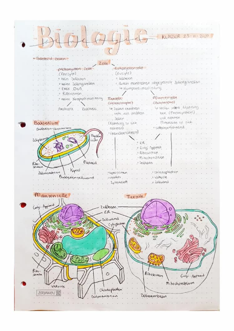 Know Zellbiologie thumbnail