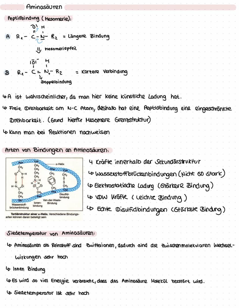 Aminosäuren
Was sind Aminosäuren?
LD Sind chemische Verbindungen mit einer Stickstoff enthaltenden Aminogruppe und
einer Kohlenstoff und Sau