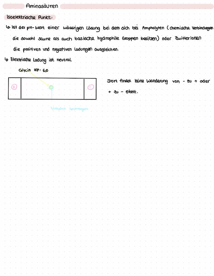 Aminosäuren
Was sind Aminosäuren?
LD Sind chemische Verbindungen mit einer Stickstoff enthaltenden Aminogruppe und
einer Kohlenstoff und Sau