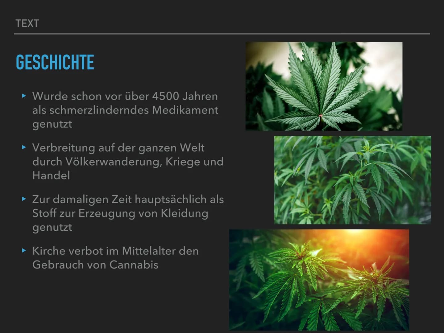 ALS RAUSCHMITTEL
CANNABIS TEXT
GLIEDERUNG
‣ Geschichte
▸ Anbau
► Wirkung der Droge
► Inhaltsstoffe
▸ Medizinischer Nutzen
► Konsum
► Rechtsl