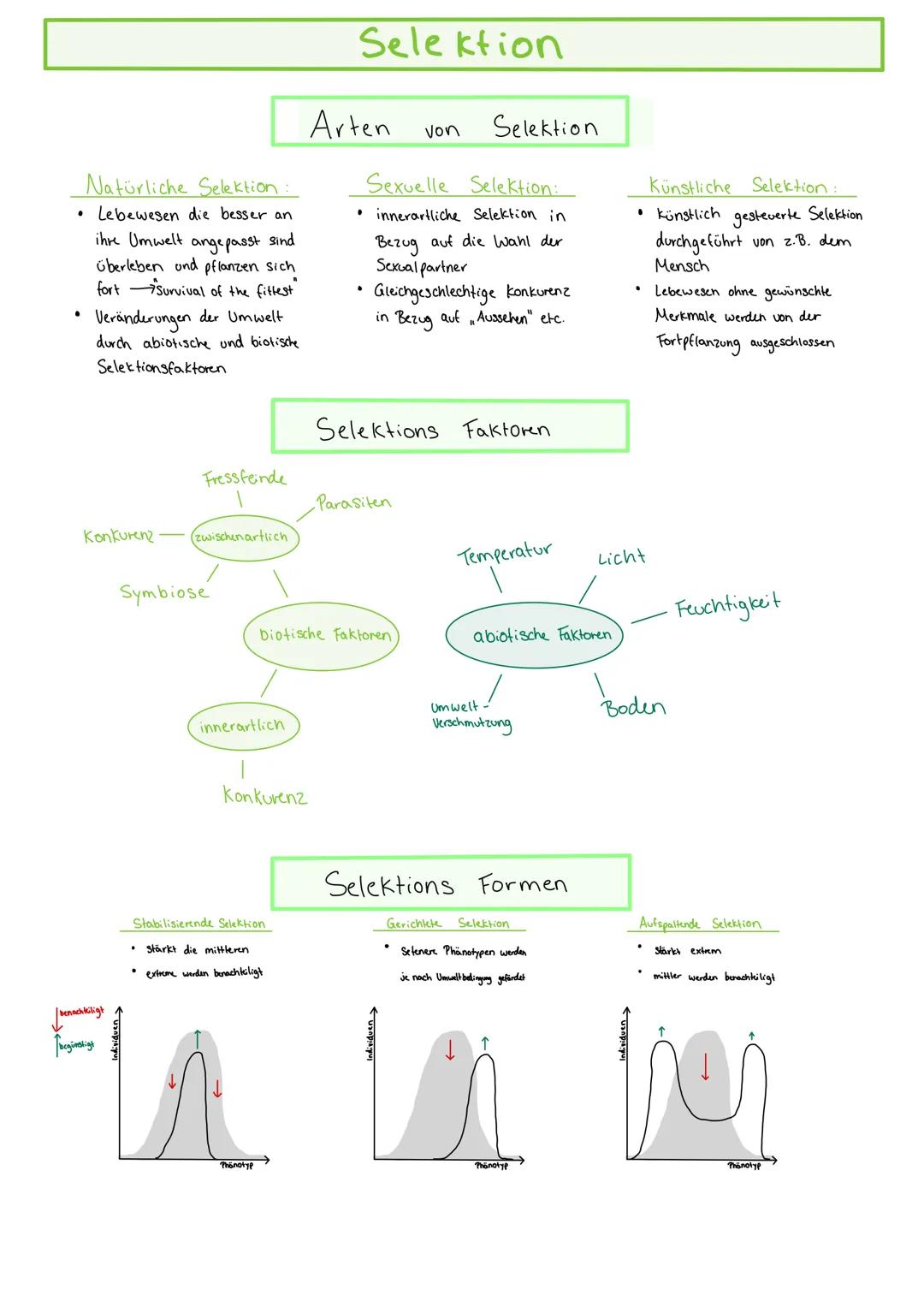 # Selektion

## Arten von Selektion

Natürliche Selektion:
*   Lebewesen die besser an
ihre Umwelt angepasst sind
Überleben und pflanzen sic