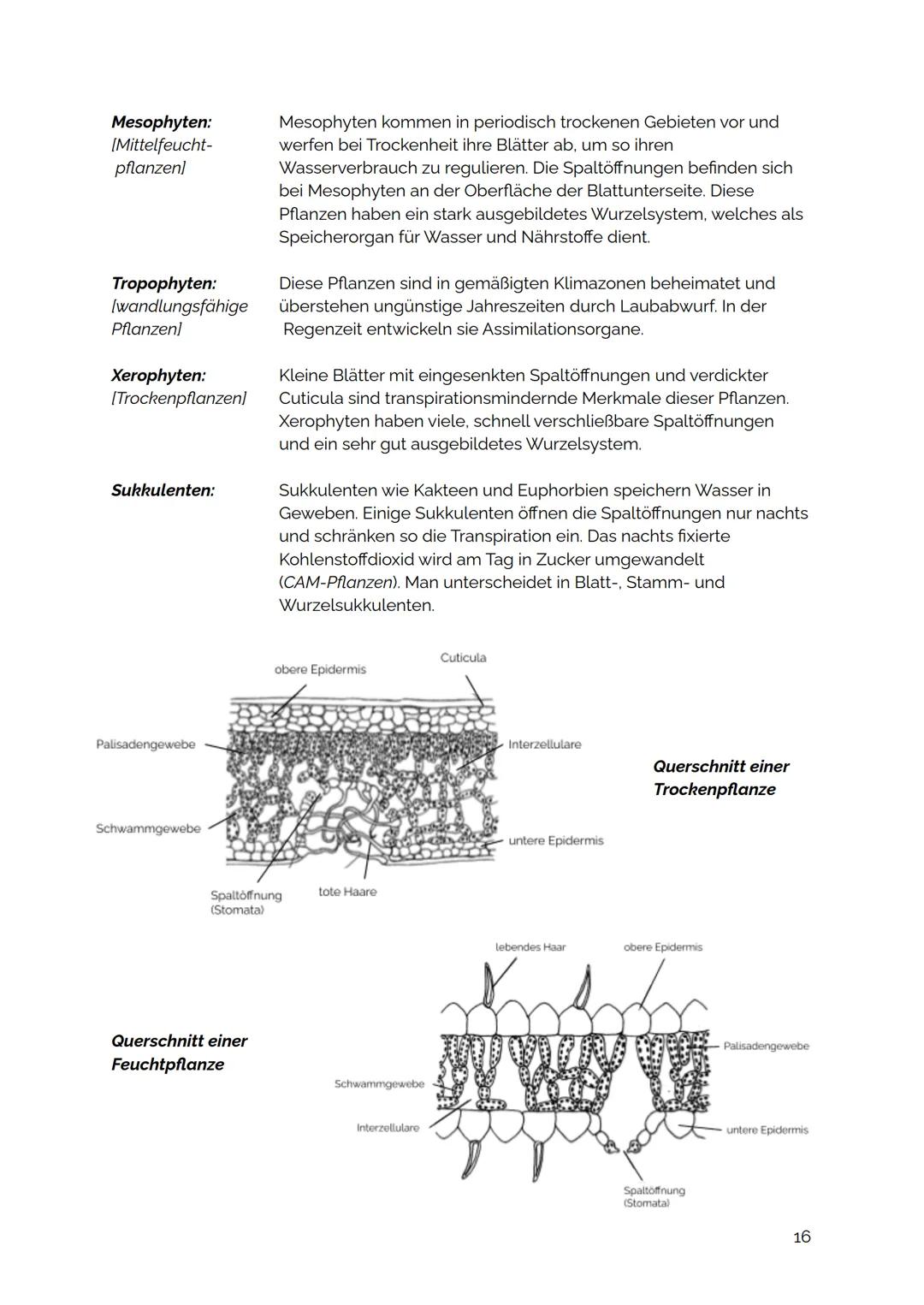# UMWELTFAKTOR WASSER

Einfluss des Wassers auf Wassertiere

Isoosmotisch:
[iso - gleich]

Hypoosmotisch:
[hypo- unter]

Hyperosmotisch:
(hy