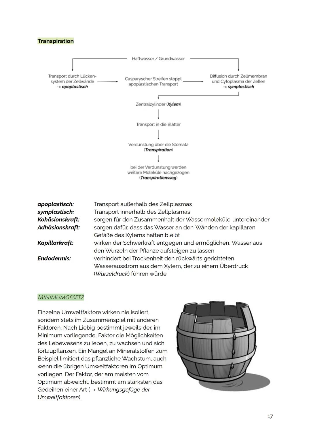 # UMWELTFAKTOR WASSER

Einfluss des Wassers auf Wassertiere

Isoosmotisch:
[iso - gleich]

Hypoosmotisch:
[hypo- unter]

Hyperosmotisch:
(hy