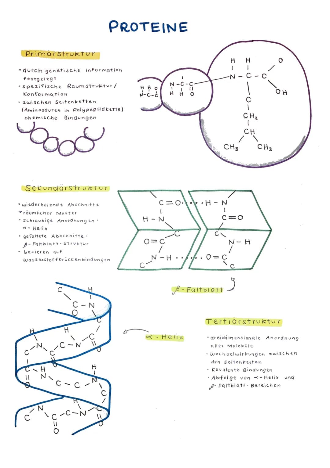 ·
• schlecht oder gar nicht in Wasser löslich
Energiespeicher
Hormone, Farbstoffe und Vitamine
●
Fette
• Verbindungen aus einem dreiwertigen