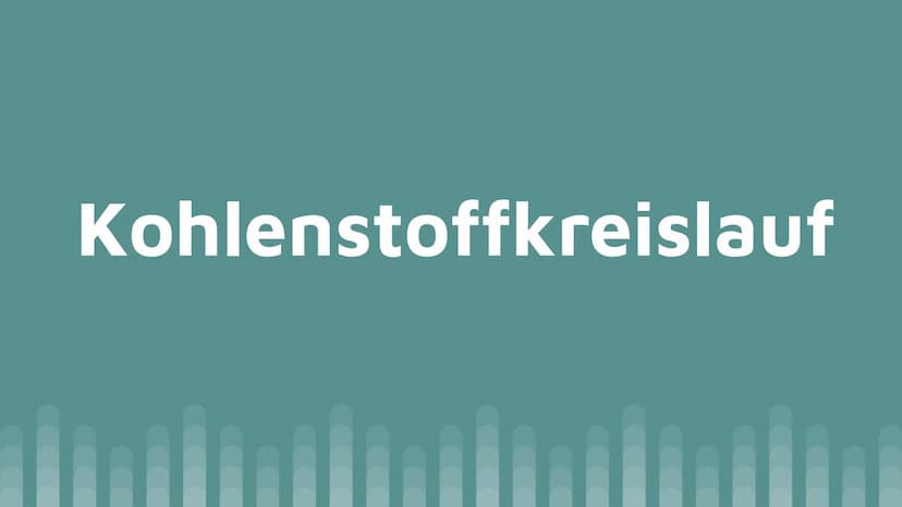 Kohlenstoffkreislauf
und Treibhauseffekt
Lilith Hoß und Anna Popovich Kohlenstoffkreislauf Allgemeines:
●
Geschlossenes System
In 4 untergeo