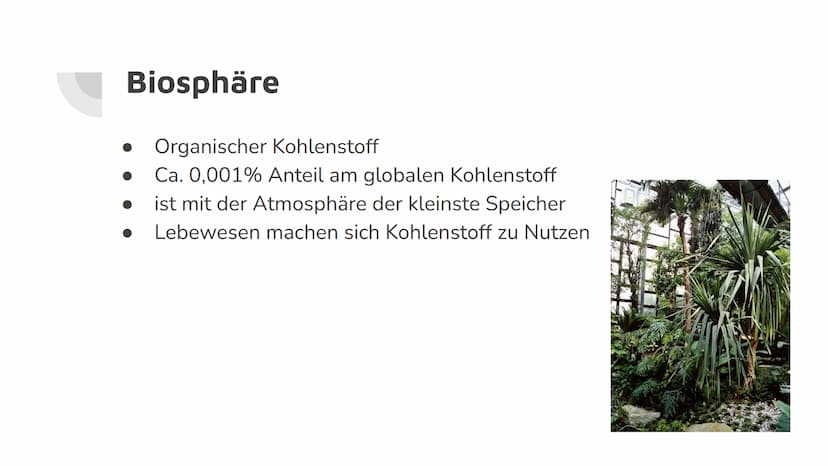 Kohlenstoffkreislauf
und Treibhauseffekt
Lilith Hoß und Anna Popovich Kohlenstoffkreislauf Allgemeines:
●
Geschlossenes System
In 4 untergeo