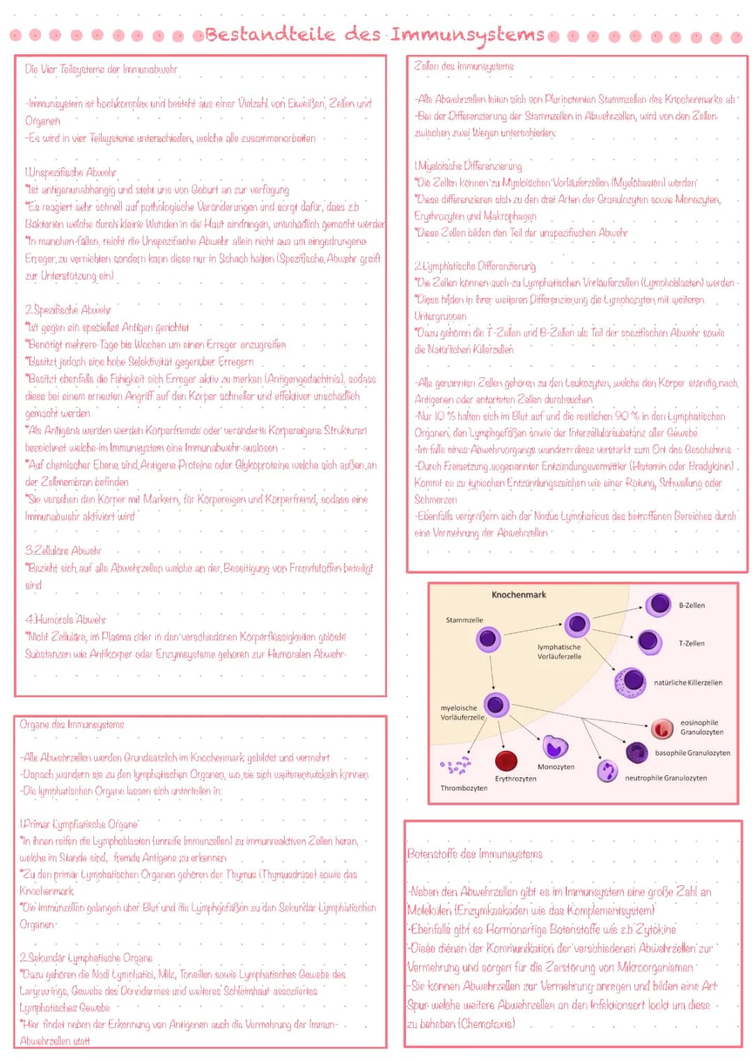 Immunsystem 