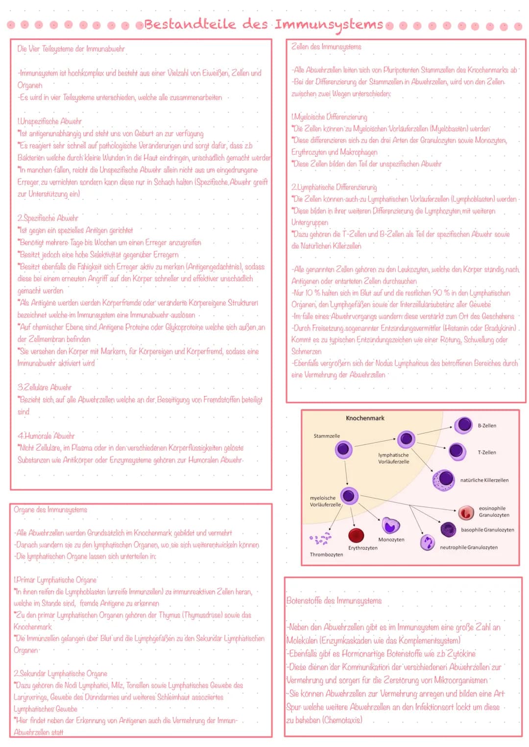 Bestandteile des Immunsystems
Zellen des Immunsystems
Die Vier Teilsysteme der Immunabwehr
-Immunsystem ist hochkomplex und besteht aus eine
