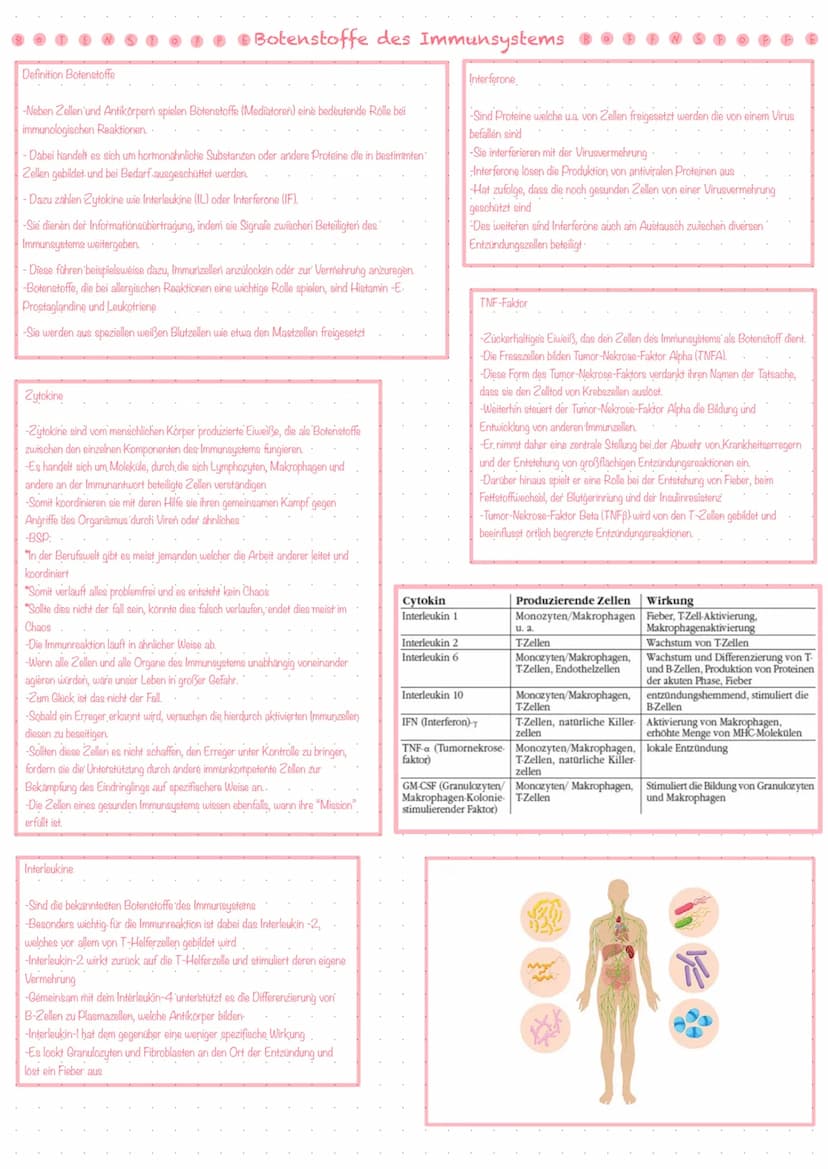 Bestandteile des Immunsystems
Zellen des Immunsystems
Die Vier Teilsysteme der Immunabwehr
-Immunsystem ist hochkomplex und besteht aus eine