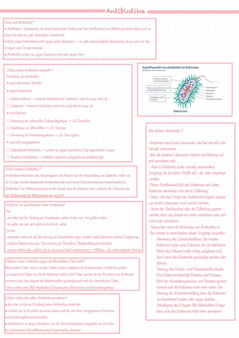 Bestandteile des Immunsystems
Zellen des Immunsystems
Die Vier Teilsysteme der Immunabwehr
-Immunsystem ist hochkomplex und besteht aus eine