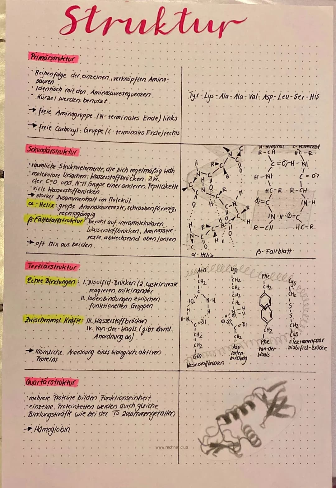Aminosäuren
Una nosauren sind eine klasse, orgonischer Verbindungen mit mindestens einer Carboxyl - Gruppe (-COOM)
und mindestens einer Amin