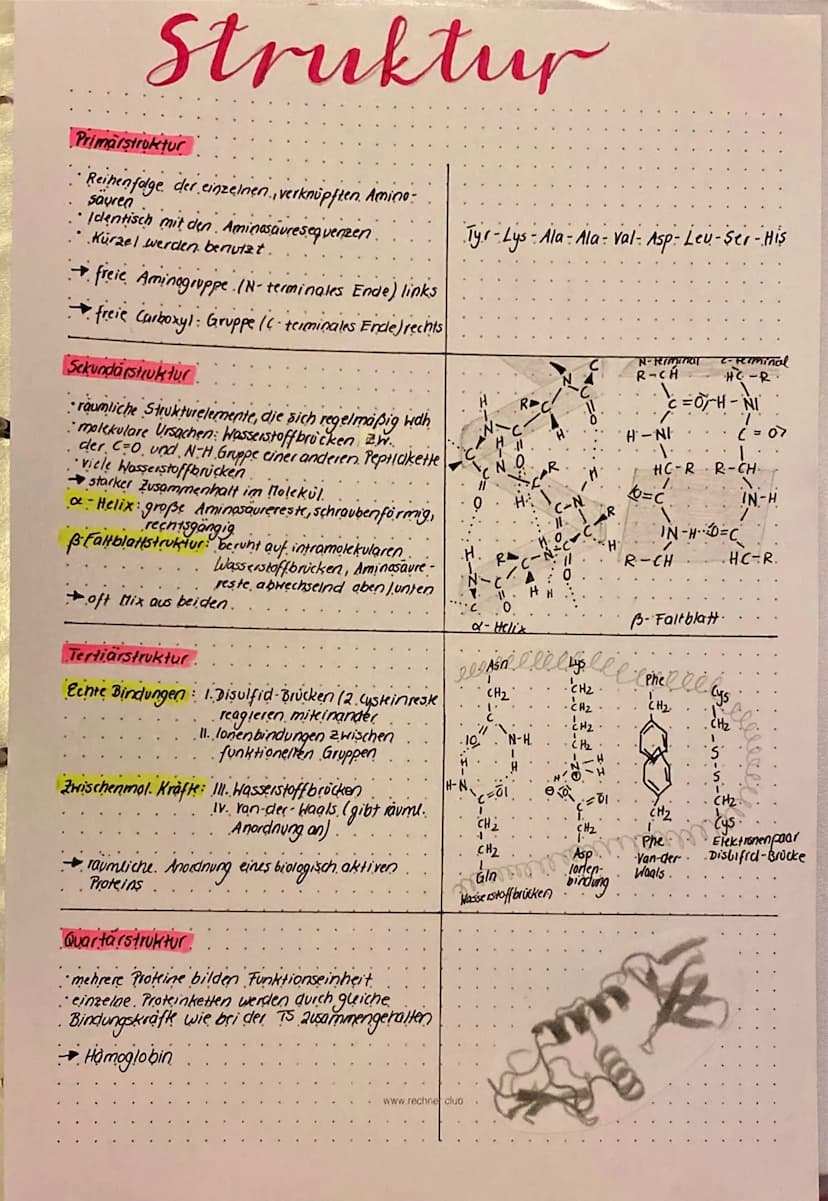 Aminosäuren
Una nosauren sind eine klasse, orgonischer Verbindungen mit mindestens einer Carboxyl - Gruppe (-COOM)
und mindestens einer Amin