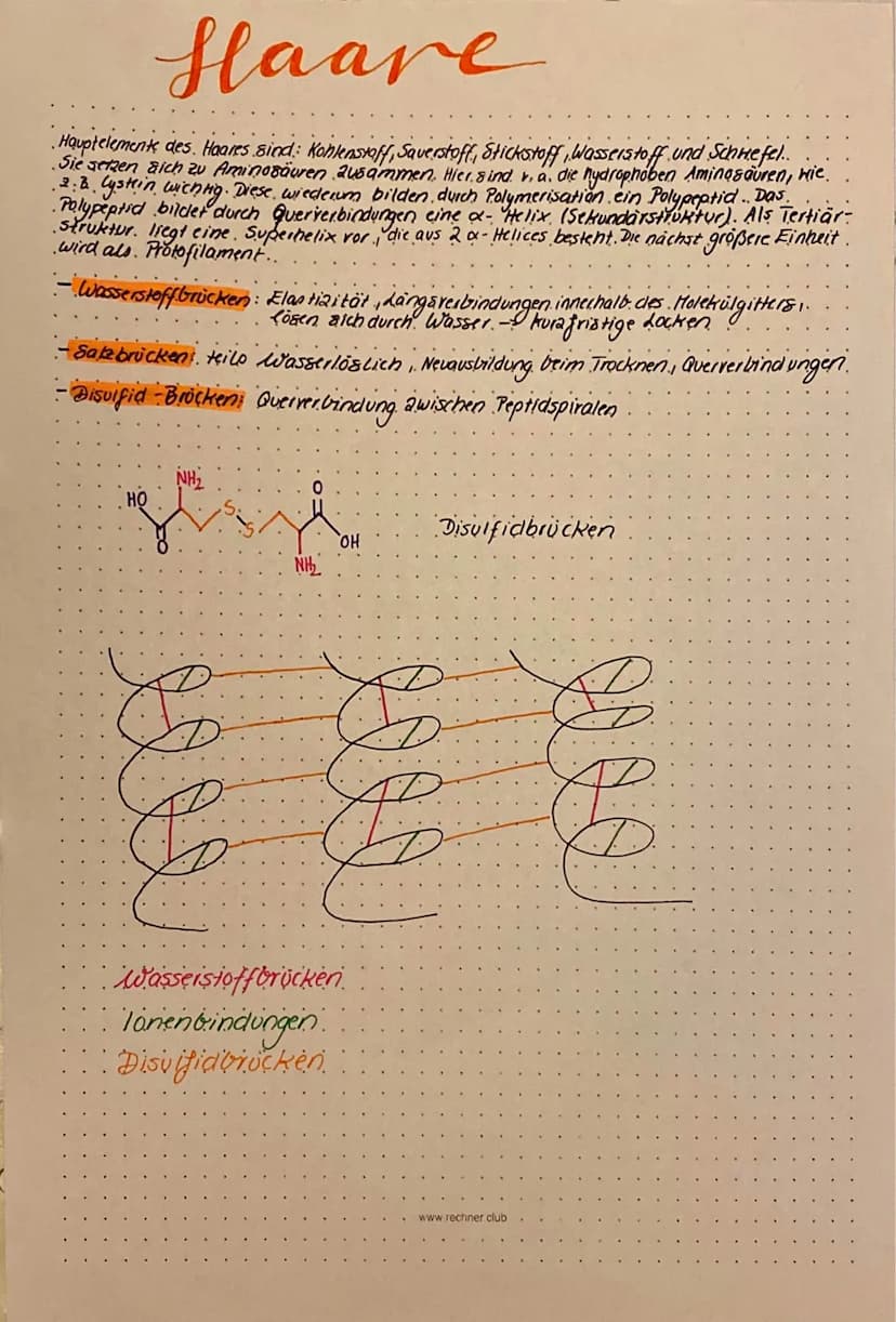 Aminosäuren
Una nosauren sind eine klasse, orgonischer Verbindungen mit mindestens einer Carboxyl - Gruppe (-COOM)
und mindestens einer Amin
