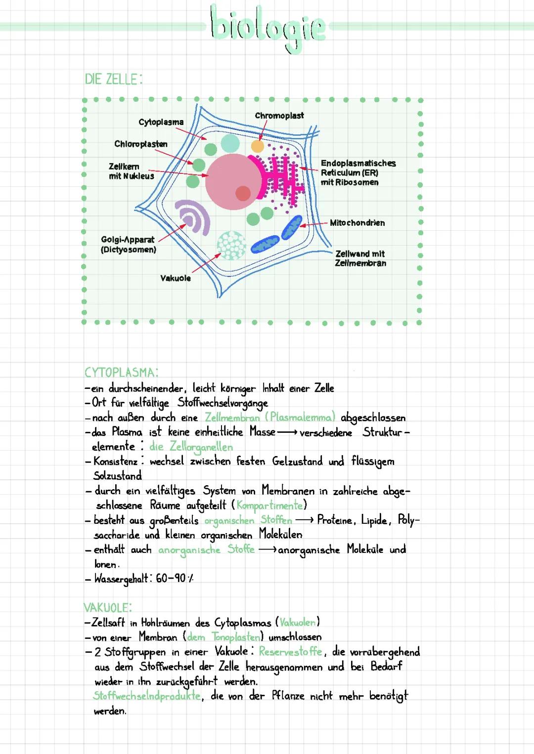 Aufbau der Zelle/ Funktion der Zellorganellen