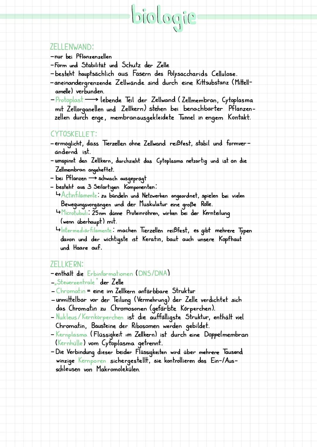 DIE ZELLE:
··
●
●
●
●
●
●
●
●
●
●
●
●
●
●
●
●
Cytoplasma
Chloroplasten
Zellkern
mit Nukleus
Golgi-Apparat
(Dictyosomen)
Vakuole
biologie
Chr