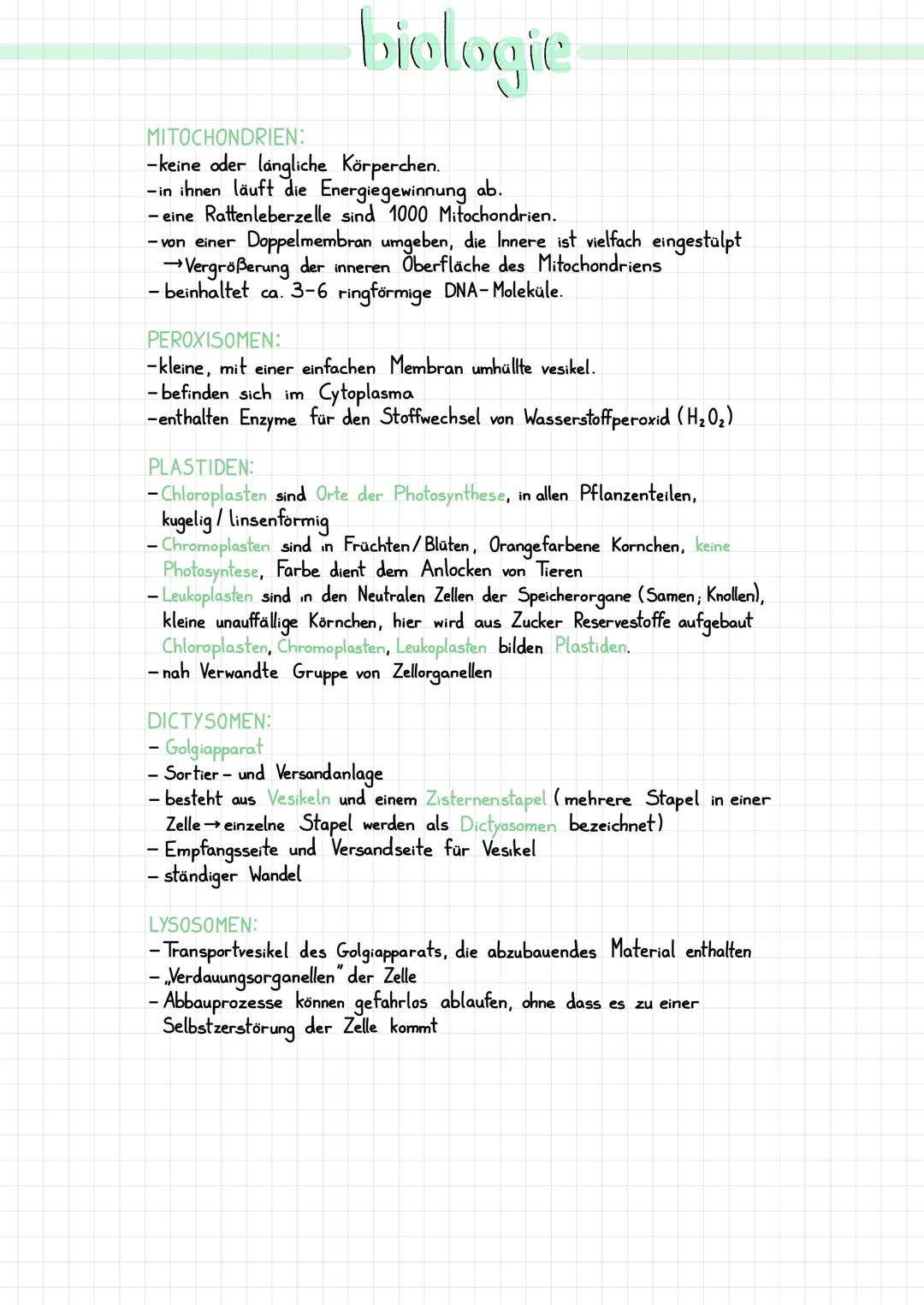 DIE ZELLE:
··
●
●
●
●
●
●
●
●
●
●
●
●
●
●
●
●
Cytoplasma
Chloroplasten
Zellkern
mit Nukleus
Golgi-Apparat
(Dictyosomen)
Vakuole
biologie
Chr