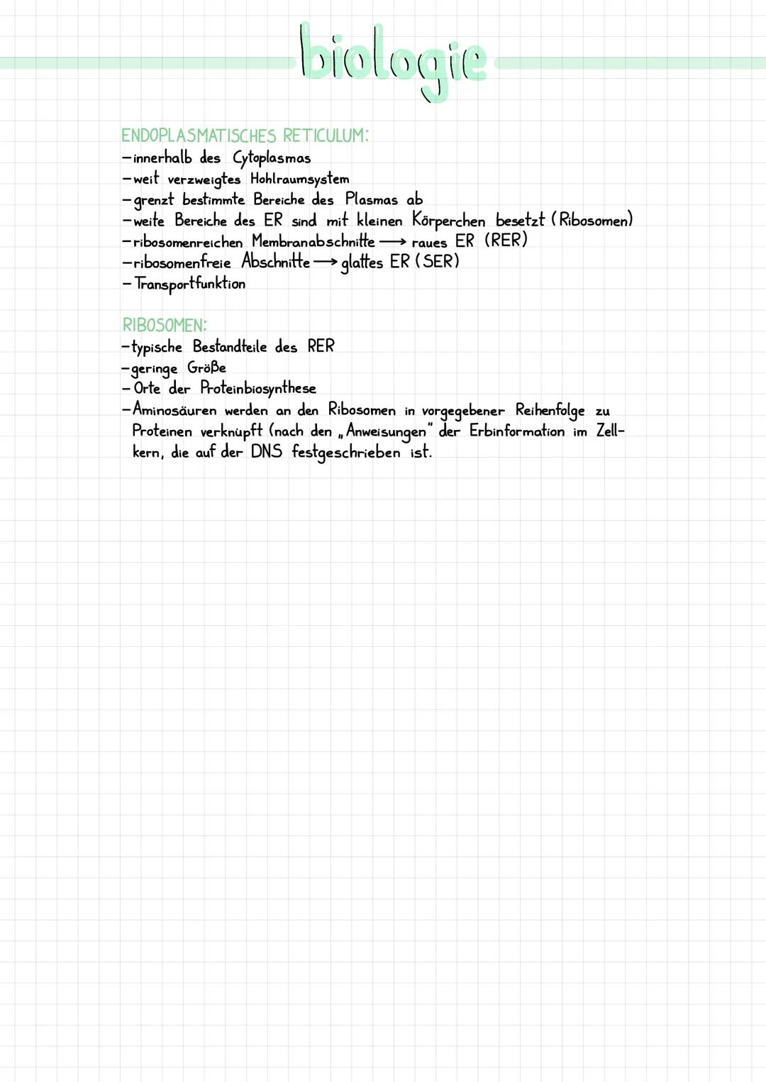 DIE ZELLE:
··
●
●
●
●
●
●
●
●
●
●
●
●
●
●
●
●
Cytoplasma
Chloroplasten
Zellkern
mit Nukleus
Golgi-Apparat
(Dictyosomen)
Vakuole
biologie
Chr