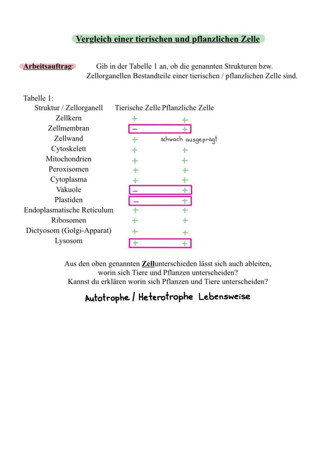 DIE ZELLE:
··
●
●
●
●
●
●
●
●
●
●
●
●
●
●
●
●
Cytoplasma
Chloroplasten
Zellkern
mit Nukleus
Golgi-Apparat
(Dictyosomen)
Vakuole
biologie
Chr