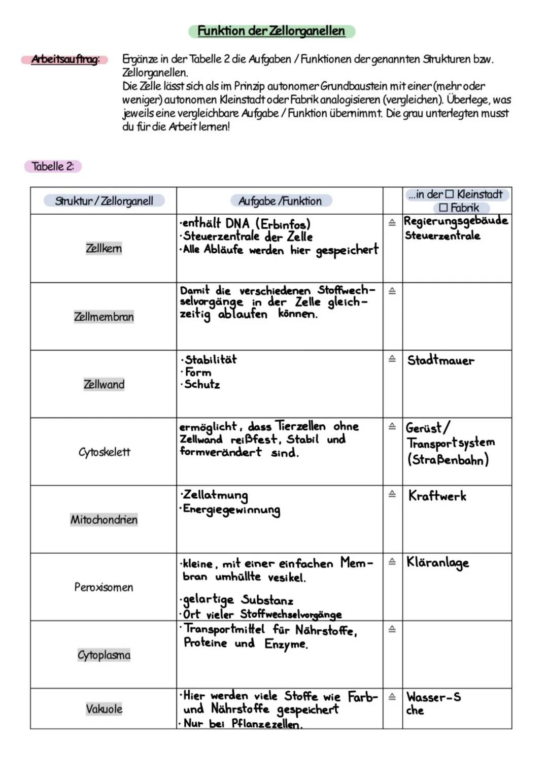 DIE ZELLE:
··
●
●
●
●
●
●
●
●
●
●
●
●
●
●
●
●
Cytoplasma
Chloroplasten
Zellkern
mit Nukleus
Golgi-Apparat
(Dictyosomen)
Vakuole
biologie
Chr